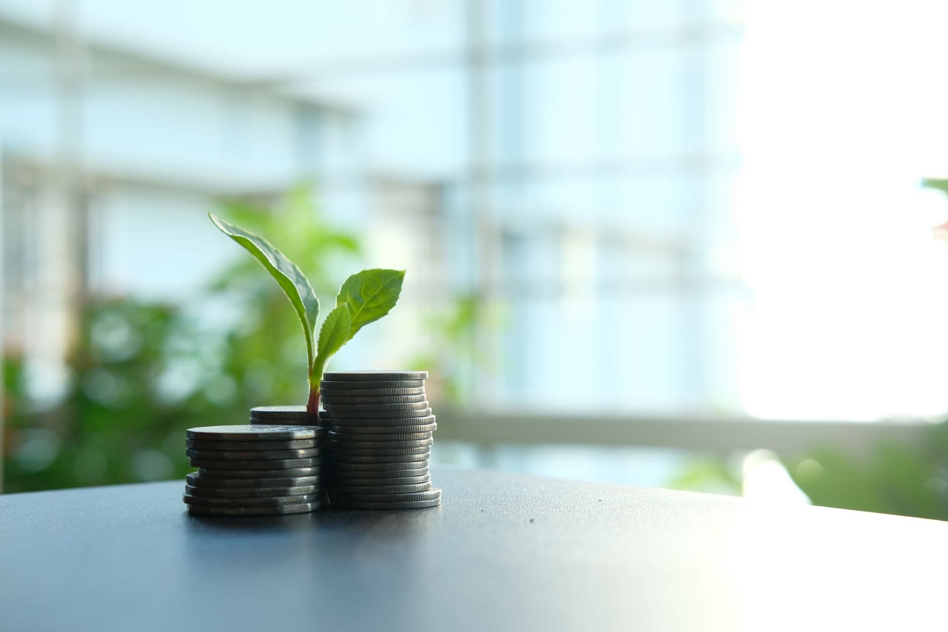 Understanding the Basics of Investing for Beginners